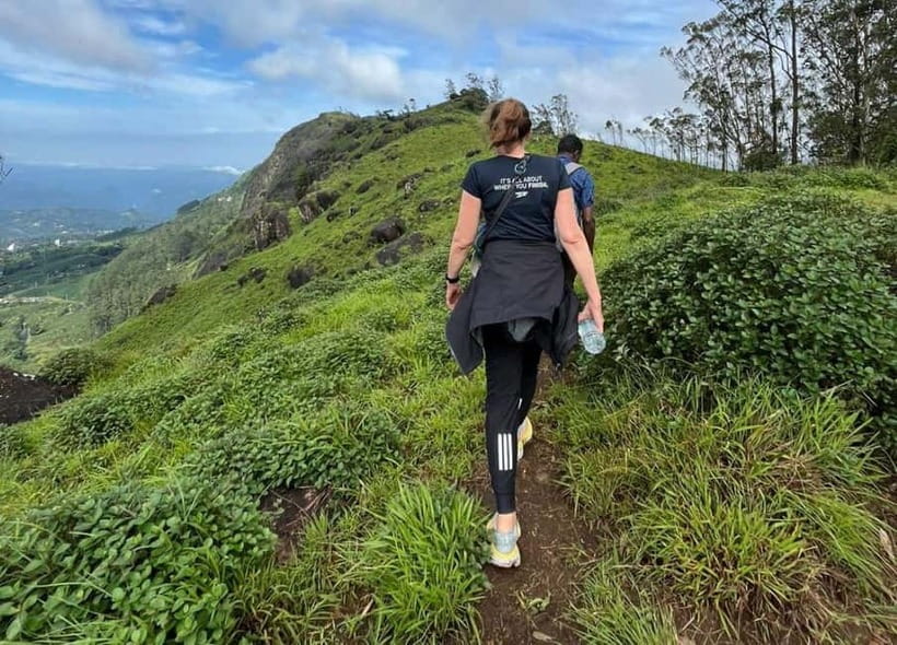 Munnar mountain hiking (Full day) - Meeting at Munnar Info, then stepping into tea country