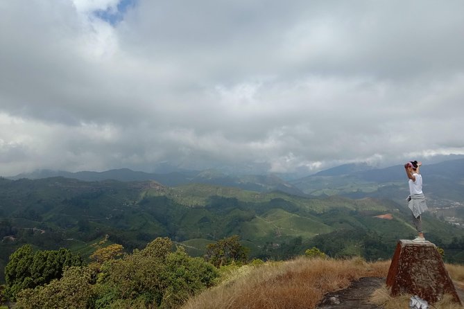 Munnar Mountain Trekking - Why This Munnar Mountain Trek Feels Different Than the Usual Tour