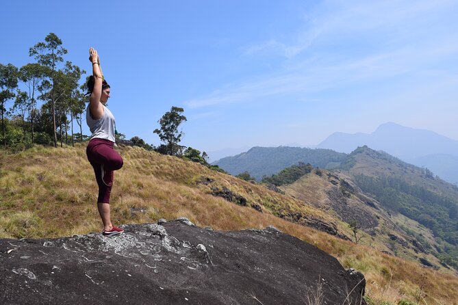 Munnar Mountain Trekking - How the Guide Makes the Difference (Especially with Tea Plantation Knowledge)