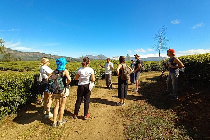 Munnar Mountain Trekking - Snacks, Bottled Water, and the Comfort Stuff That Actually Helps