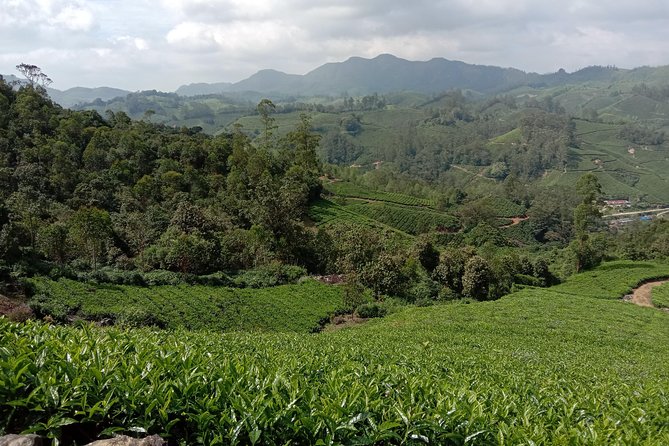 Munnar Mountain Trekking - Duration and Timing: What a 6-Hour Day Really Means