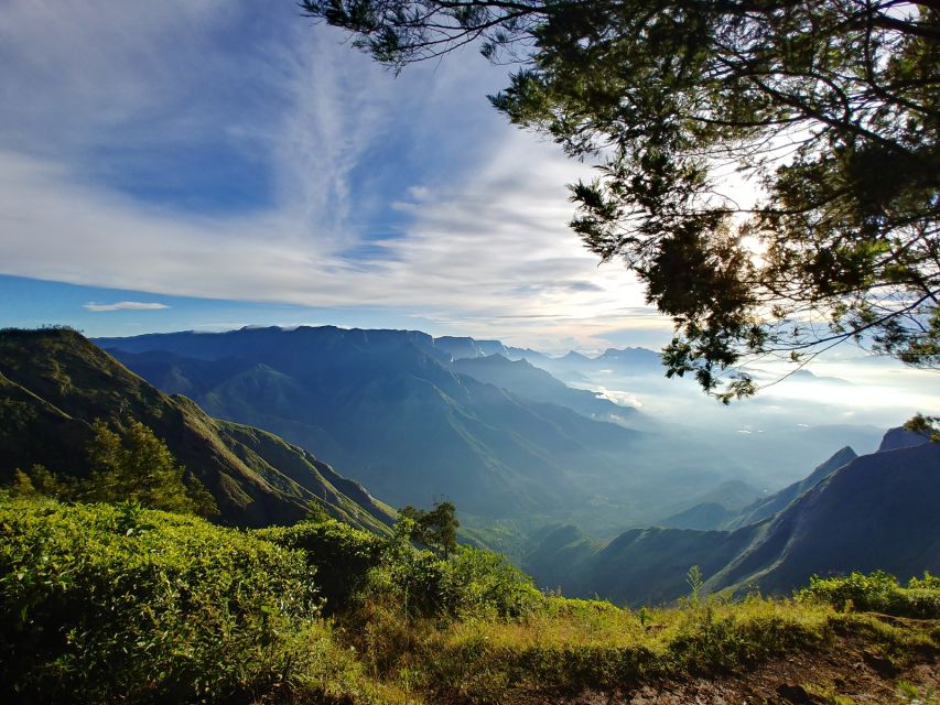 Munnar Private Day Trip - Cheeyappara and Valara waterfalls: the quick scenic payoff