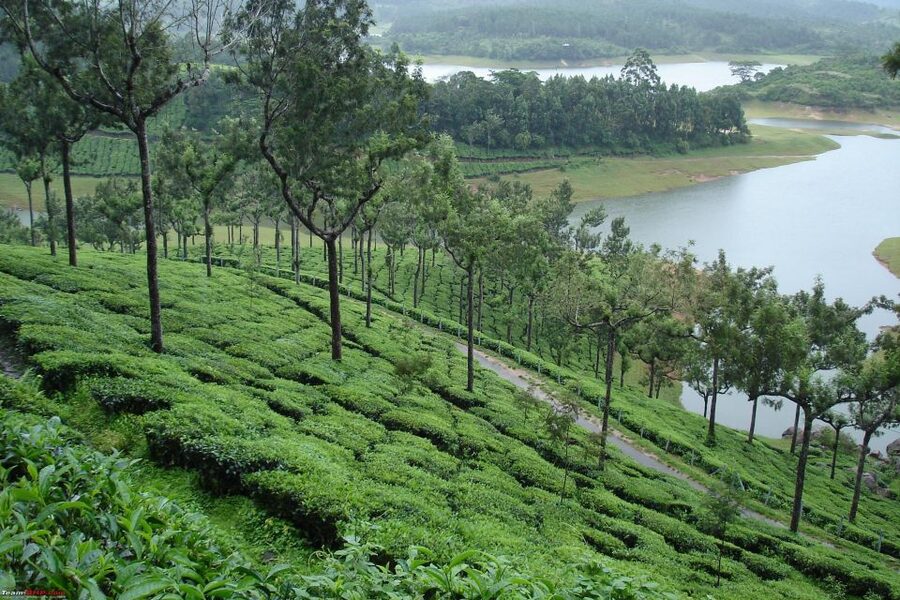 Munnar Private Day Trip - Lunch timing and how the day stays paced