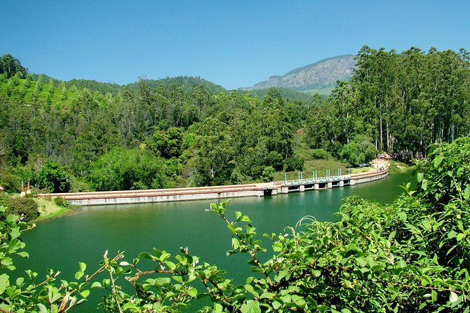 Munnar Site-seeing Tour - Key things to know before you go