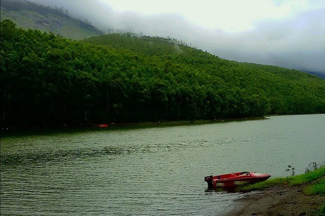 Munnar Site-seeing Tour - A 5-hour private loop that keeps things simple