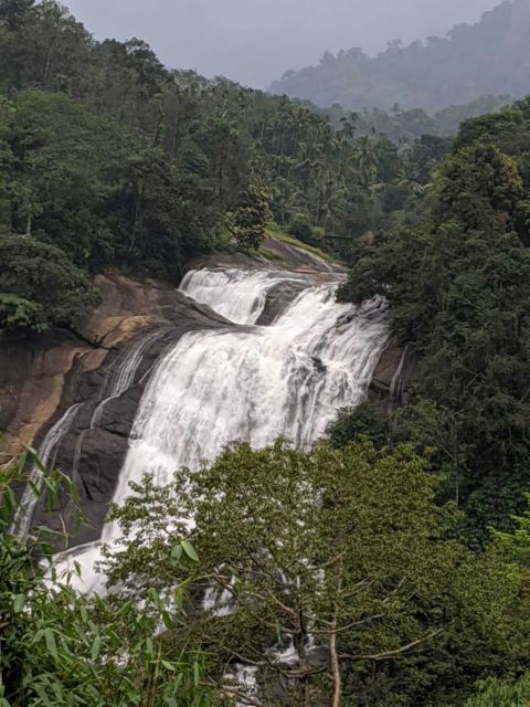 Munnar: Tea Garden and Elephant Safari Trip by 4x4 - Key Things I’d Tell a Friend Before Booking