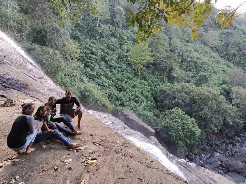Munnar: Tea Garden and Elephant Safari Trip by 4x4 - Tea Estates, Film-Shoot Photos, and the Start of the Wild Day