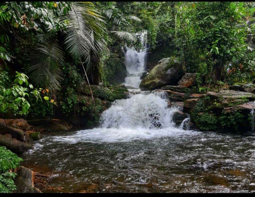 Munnar: Tea Garden and Elephant Safari Trip by 4x4 - Spice Garden Road: Cardamom, Pepper, and the Taste of the Hills