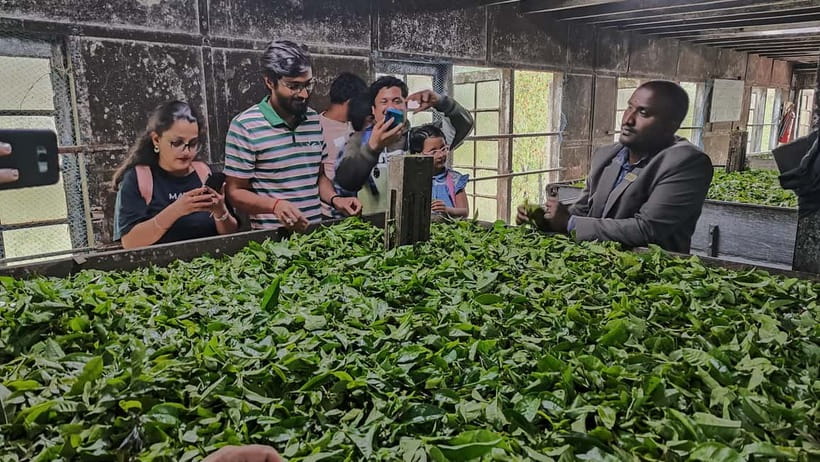 Munnar: Tea trail, Tea Factory, and Tea Tasting Tour - Lockhart Tea Factory and Museum: what you’ll see and what it means