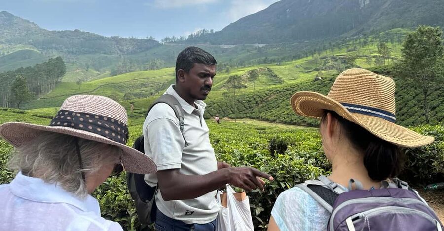 Munnar: Tea trail, Tea Factory, and Tea Tasting Tour - Tea tasting session: how to taste like you actually care