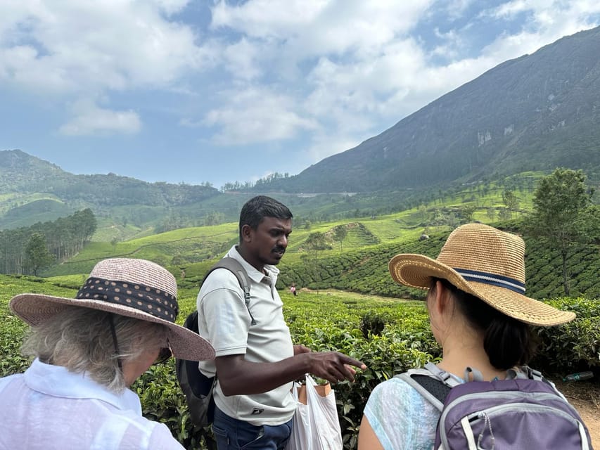 Munnar: Tea trail, Tea Factory, and Tea Tasting Tour - Who should book this Munnar tea tour, and who should skip