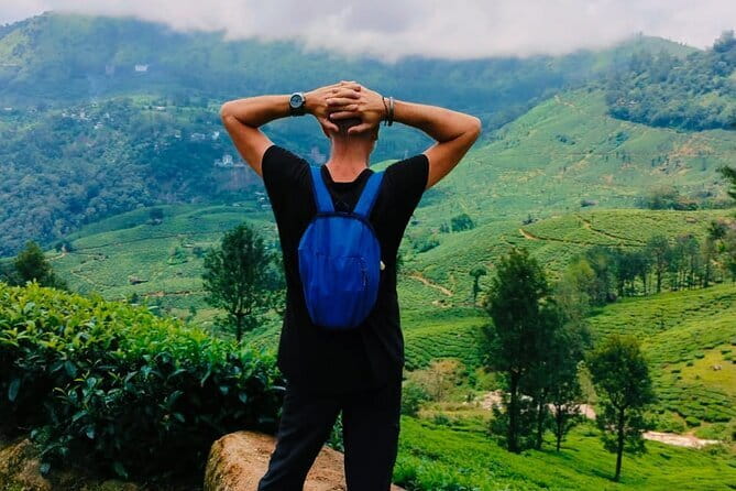 Munnar Tea Trail Tour , Tea factory visit & Tea Tasting - Tea Trail Meets the Real Tea Life in Munnar