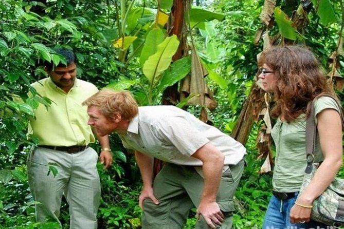 Munnar Tea valley Tour ( By Munnar Info) - Key highlights that matter