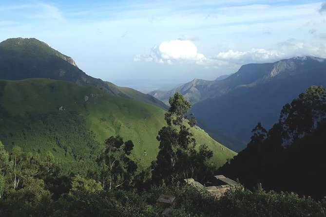 Munnar Tea valley Tour ( By Munnar Info) - Price and what you actually get for $43 per group