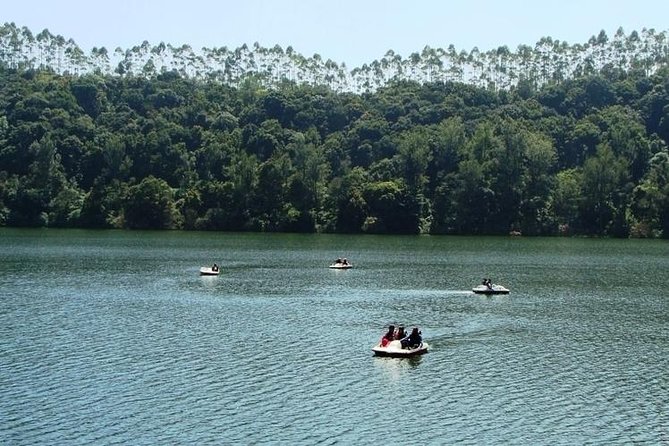 Munnar Tea valley Tour ( By Munnar Info) - The taxi-led flow, timing, and how to make it your day