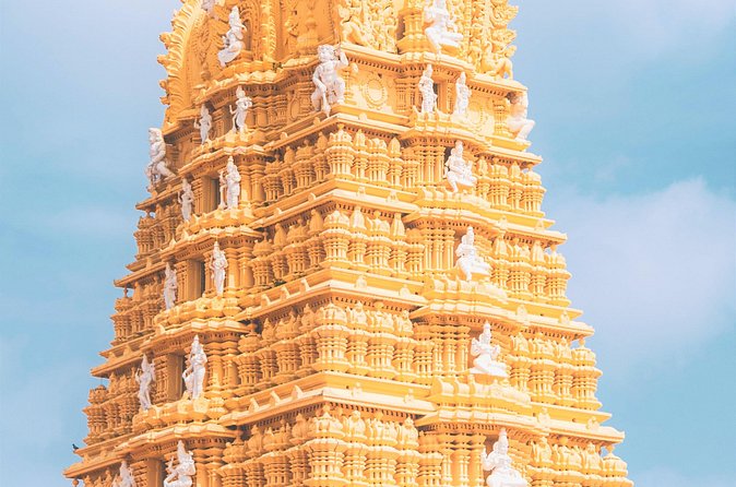 Mysore & Srirangapatna Day Tour from Bengaluru with Guide & Lunch - Devaraja Market: photos, shopping, and real Mysore energy
