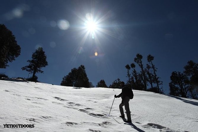 Naag Tibba Trek - Key highlights that matter on this trek