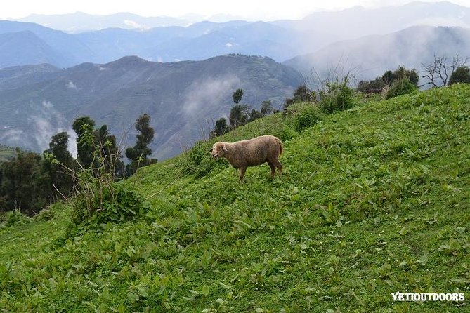 Naag Tibba Trek - Naag Tibba Trek, the real value you get