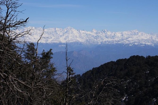 Naag Tibba Trek - Should you book this Naag Tibba trek with Yeti Outdoors?