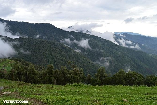 Naag Tibba Trek - Pantwari to the base: Day 1’s gentle uphill and evening reset
