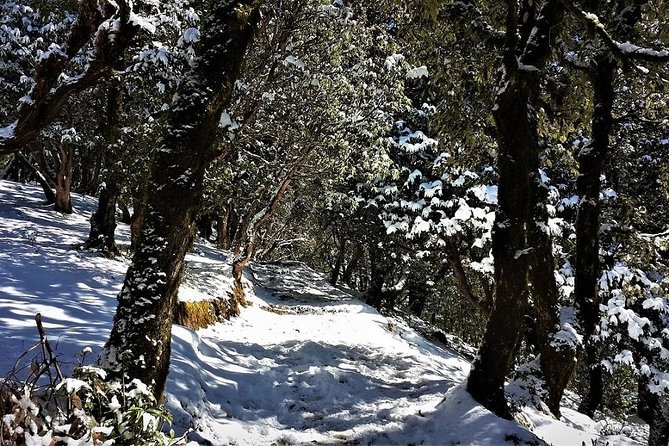 Nag Tibba 2 Days Trek (Pantwari to Pantwari) - Day 2 to Nag Tibba Peak: Views Toward Swargarohini and Bandarpunch
