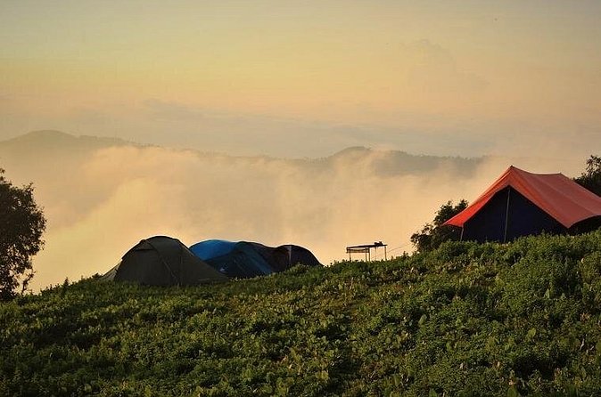 Nag Tibba 2 Days Trek (Pantwari to Pantwari) - Guides and Safety: Why the Right Leader Matters on a Small Trek