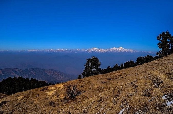 Nag Tibba 2 Days Trek (Pantwari to Pantwari) - Price and Value: What $24 Means on This Two-Day Trek