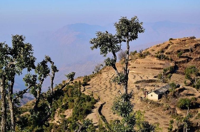 Nag Tibba 2 Days Trek (Pantwari to Pantwari) - Who Should Book Nag Tibba (and Who Might Want a Different Trek)