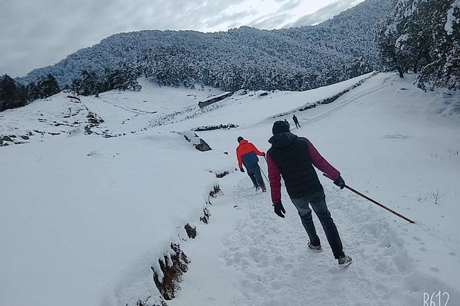 Nagtibba Trek (Dehradun to Dehradun) - Nag Tibba in Two Days: The Easy Himalayan Taste