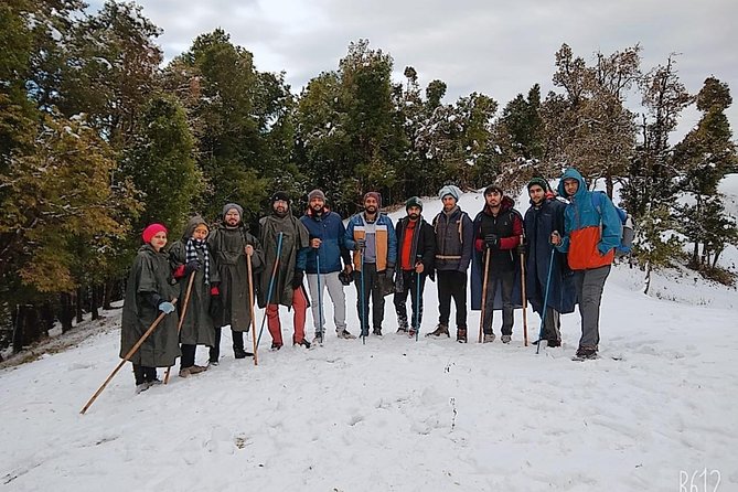 Nagtibba Trek (Dehradun to Dehradun) - Price and Value at About $113: What You Actually Get