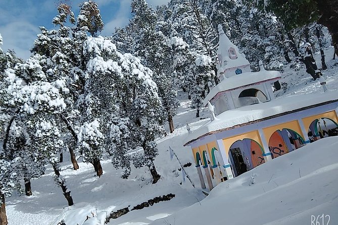 Nagtibba Trek (Dehradun to Dehradun) - Meals, Tickets, and What You Can Skip Packing