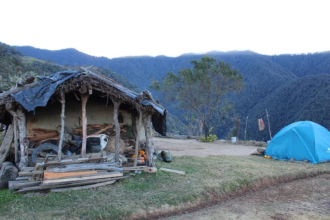 Nagtibba Trek (Dehradun to Dehradun) - Who This Trek Fits Best (and Who Might Feel Friction)