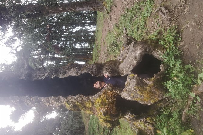 Nagtibba Trek (Pantwari to Pantwari) - The guide team makes it feel easy: Sanjay Bhaiya and Sardar ji