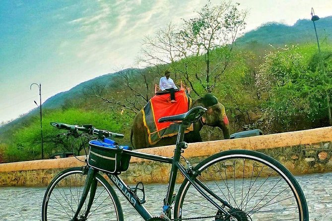 Nahargarh Cycle Tour in Jaipur - Value for $35: what’s included, and what you should plan for