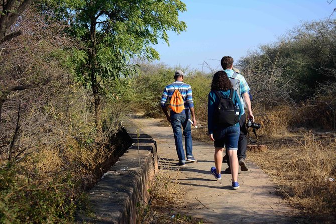 Nahargarh Water Walk - Guided 2-Hour Heritage Tour in Jaipur - Timing, meeting point, and what you actually walk