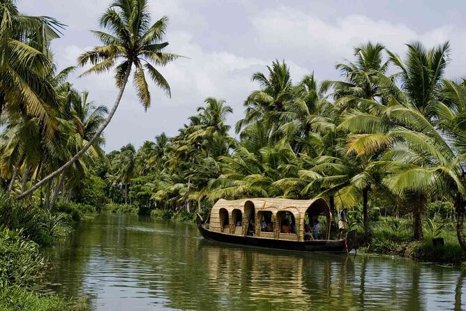 Nature Beauty, Backwater of Kerala Tour (05 Nights - 06 Days) - The Munnar leg: waterfalls, dams, viewpoints, and tea time