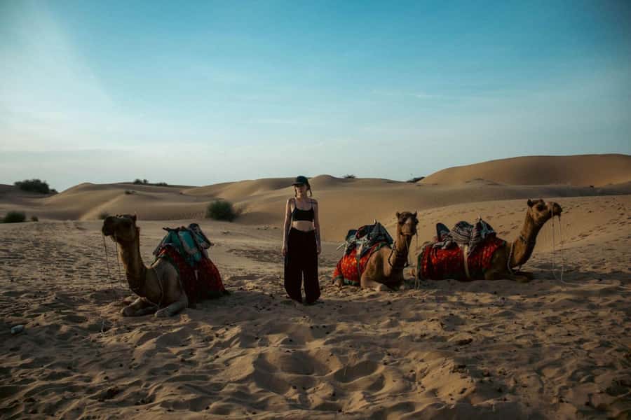 Nomadic Non-Touristic Overnight Camel & Desert Safari Tour - Day 2: tea sunrise, breakfast, the second camel ride, and back to Jaisalmer by 10 AM