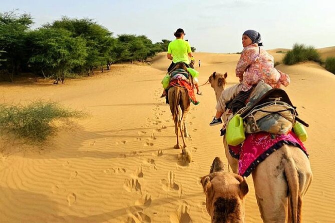 Nomadic Non-Touristic Overnight Tour & camel Safari - Jaisalmer to the Thar Dunes, One Long Day That Turns Into a Real Night