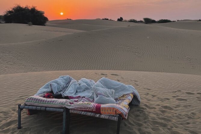 Non-Touristic overnight Camel Safari - Day 1 in the Thar: hours on camels, meals handled for you