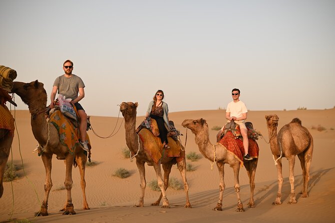 Non-Touristic Overnight Camel Safari with Stargazing Hidden Tour In Desert - Why this Jaisalmer camel safari feels genuinely off the main route