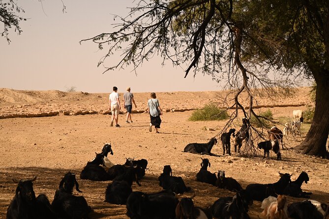 Non-Touristic Overnight Camel Safari with Stargazing Hidden Tour In Desert - Khaba Fort, views that help you read the Thar