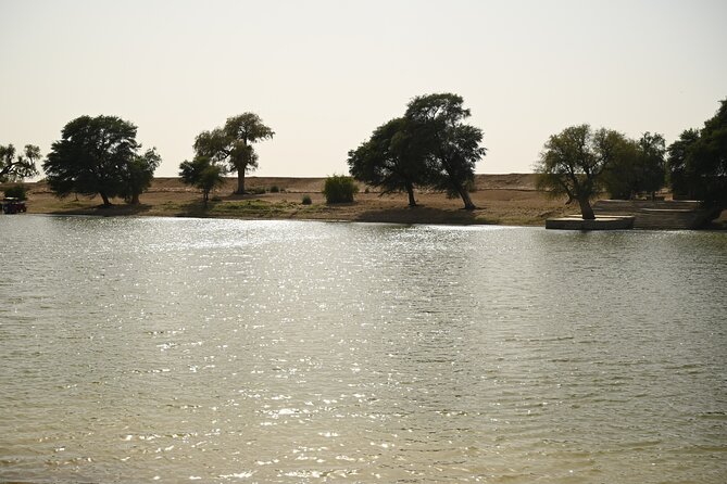 Non-Touristic Overnight Camel Safari with Stargazing Hidden Tour In Desert - Camel over golden dunes, then campfire dinner and stargazing