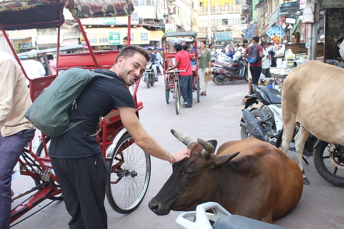 Old Delhi Food Tour Safari - The Capital of Flavors - Paharganj meet-up and the role of your guide in keeping you steady