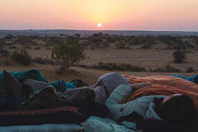 One Night One Day Desert Safari Tour - Camel ride to the dunes: the part you will talk about later
