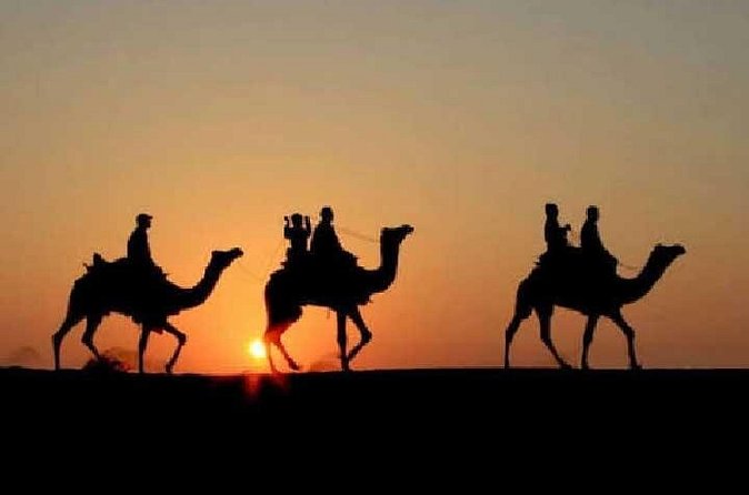 Overnight Camel Safari - Open-fire dinner with dancing and singing, plus the camp vibe