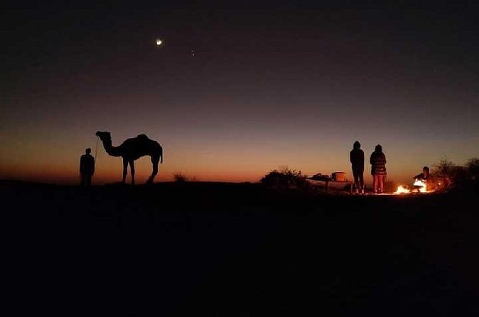 Overnight Camel Safari - Price and value: why $34 can work, and where it may not