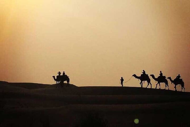Overnight Camel Safari - Who should book this overnight camel safari
