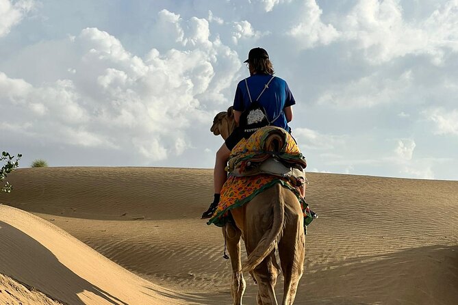 Overnight Camel Safari in Thar Desert - Key Highlights You Will Actually Feel