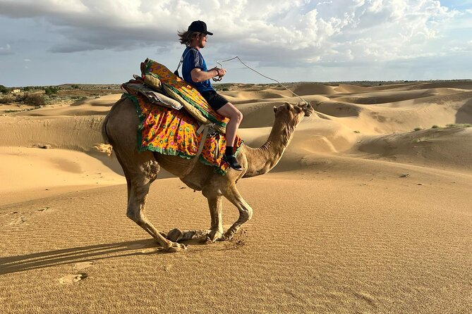 Overnight Camel Safari in Thar Desert - Sleeping Under the Stars: The Real Point of This Overnight Safari