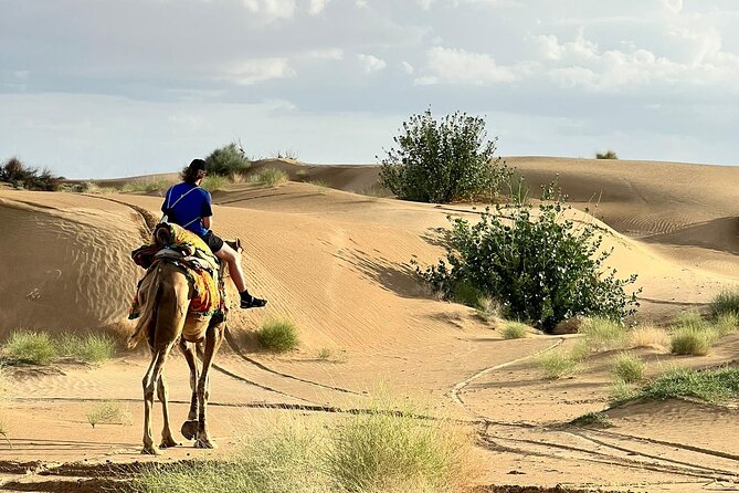 Overnight Camel Safari in Thar Desert - The 90-Minute Camel Journey Across Golden Dunes